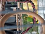 Kooi met grasparkiet, Dieren en Toebehoren, Vogels | Parkieten en Papegaaien, Geslacht onbekend, Tam