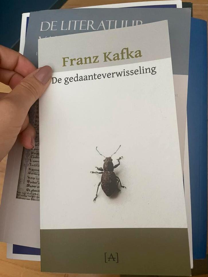 Franz Kafka - De gedaanteverwisseling, Boeken, Literatuur, Zo goed als nieuw, Ophalen of Verzenden