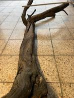 Decoration terrarium, Enlèvement, Utilisé