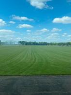 Graszoden op rol, zeer goede kwaliteit, Tuin en Terras, Gras en Kunstgras, Ophalen, Nieuw, 20 m² of meer, Gras