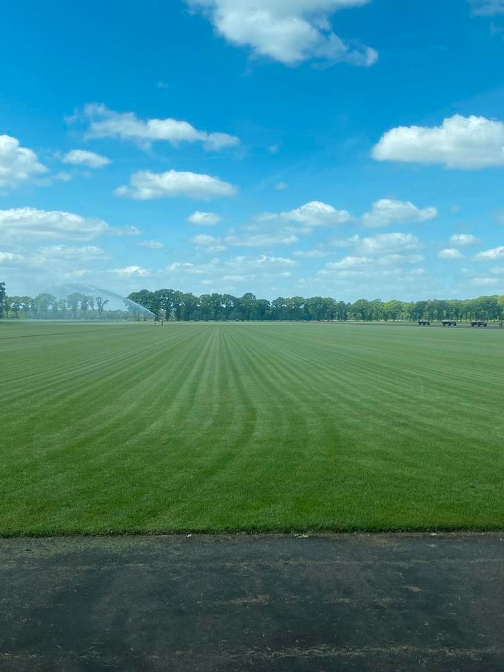 Graszoden op rol, zeer goede kwaliteit, Tuin en Terras, Gras en Kunstgras, Nieuw, Gras, 20 m² of meer, Ophalen