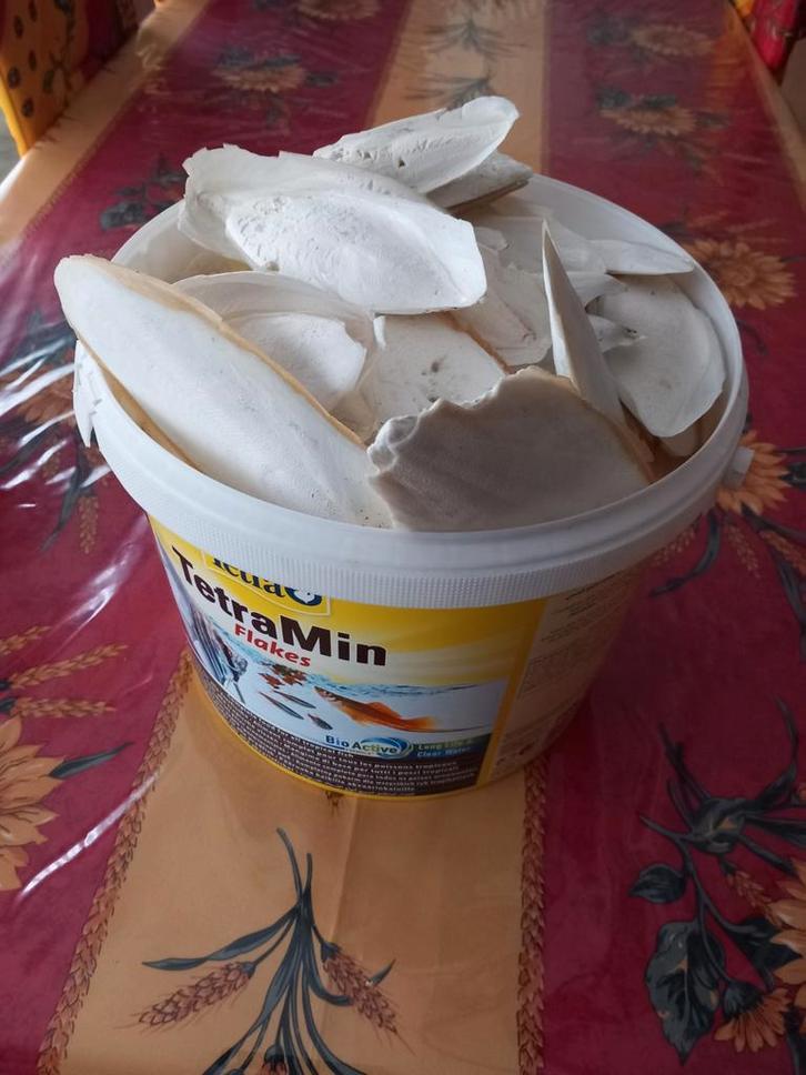 Zeeschuim cuttlebone
Beschikbaar op 1080 Bruxelles in de buu, Dieren en Toebehoren, Dierenvoeding, Ophalen