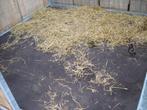 rubber stalmatten voor paardenstal, Dieren en Toebehoren, Stalling en Weidegang, Weidegang