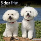 Bichon Frise-kalender 2017, Nieuw, Jaarkalender, Verzenden