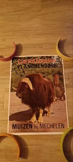 Vintage Zoo en Planckendael poster jaren '70, Ophalen of Verzenden, Zo goed als nieuw