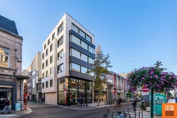 Appartement te huur in Roeselare, 2 slpks, Immo, Huizen te huur, Appartement, 2 kamers