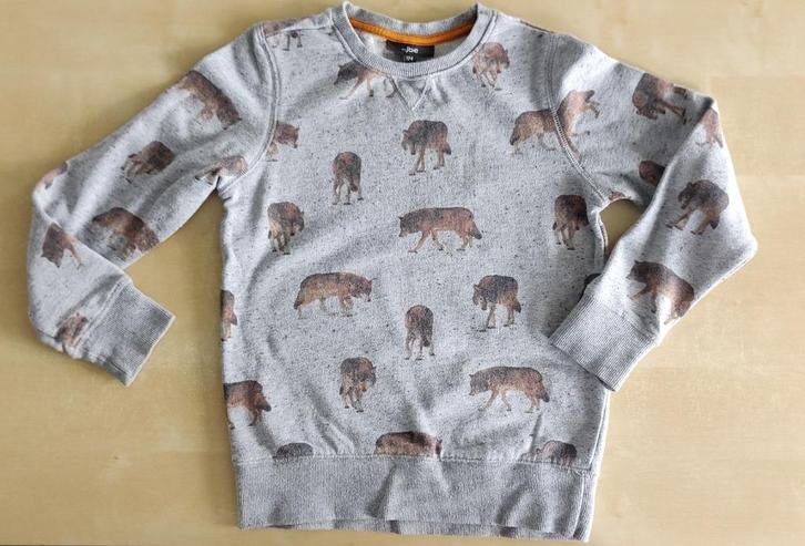 Leuke trui met wolven, maat 134, Enfants & Bébés, Vêtements enfant | Taille 134, Utilisé, Garçon, Pull ou Veste, Enlèvement ou Envoi