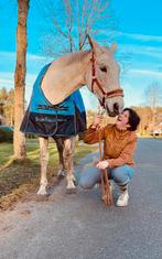 Knappe BWP merrie, Dieren en Toebehoren, Merrie