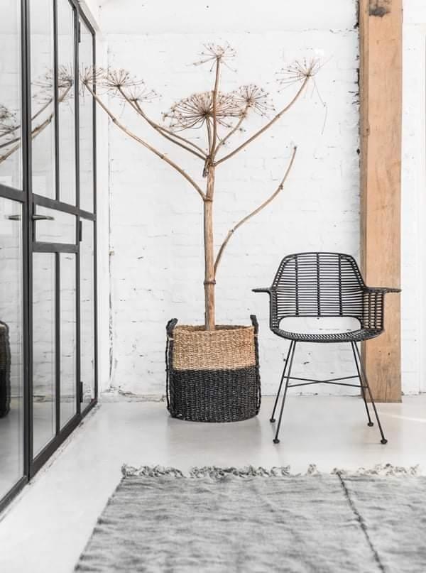 Gedroogde Berenklauw, Huis en Inrichting, Woonaccessoires | Droogbloemen, Ophalen