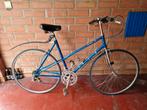 Retro koersfiets, Ophalen, Gebruikt, Overige merken