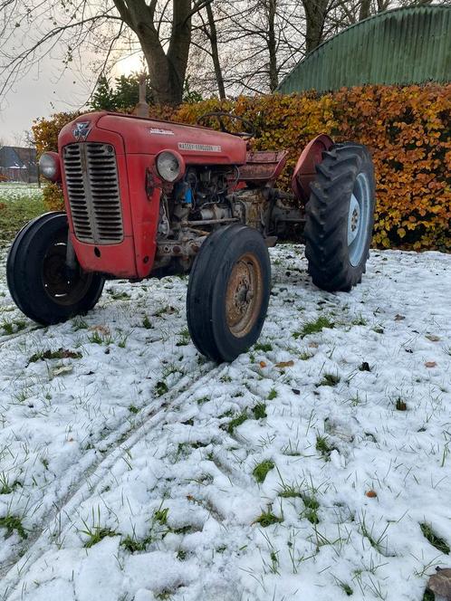 Massey Ferguson 35 multi power, Zakelijke goederen, Landbouw | Tractoren, Massey Ferguson, Ophalen