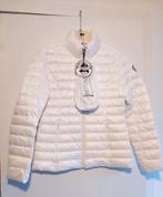 Jott donsjas dames S, Kleding | Dames, Jott, Ophalen of Verzenden, Nieuw, Wit