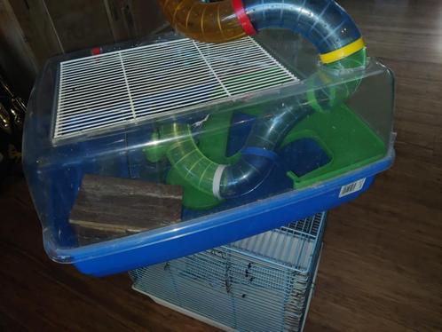 Hamster spullen, Dieren en Toebehoren, Knaagdieren en Konijnen | Hokken en Kooien, Gebruikt, Overige typen, Minder dan 60 cm, Minder dan 75 cm