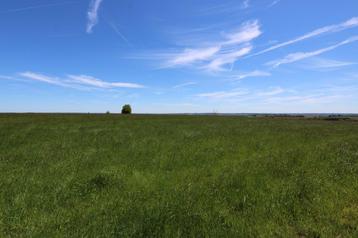 Terrain à vendre à Arlon beschikbaar voor biedingen