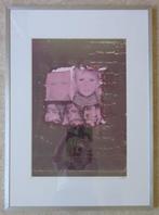 POL MARA / ETOILEES / KLEURZEEFDRUK / 101x73cm / KADER / SIG, Antiek en Kunst, Ophalen