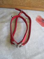 riem hond, Ophalen of Verzenden, Gebruikt, Hondenriem