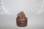 aloe brevifolia mill, Vetplant, Ophalen of Verzenden, In pot, Minder dan 100 cm