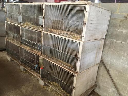 9 cages lapins en béton, Dieren en Toebehoren, Konijnen