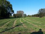 nieuw hooi 2025, Zakelijke goederen, Landbouw | Veevoer, Ophalen