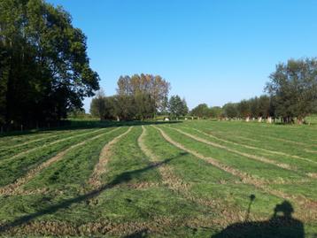 nieuw hooi 2025 beschikbaar voor biedingen