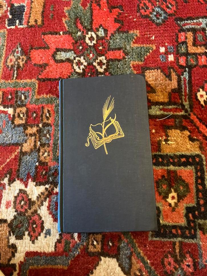 Het katholieke geloof. Een apologetisch dogmatisch …, Boeken, Godsdienst en Theologie, Zo goed als nieuw, Christendom | Katholiek