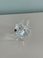 Chien Swarovski, Enlèvement, Comme neuf