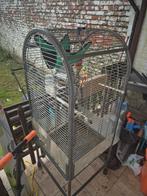Cage oiseaux ou perroquet, Animaux & Accessoires, Oiseaux | Cages & Volières, Comme neuf, Enlèvement ou Envoi