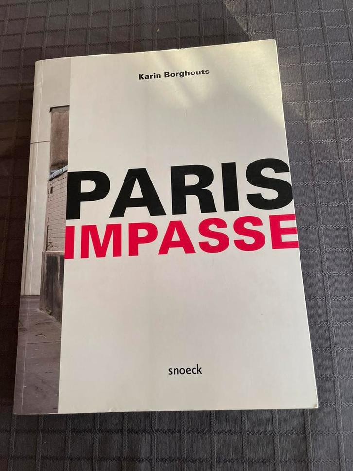 Livre photo « Paris Impasse » - Karin Borghouts, Livres, Art & Culture | Photographie & Design, Comme neuf, Enlèvement ou Envoi