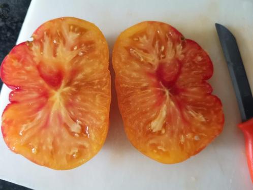 5 zaden tomaat Ananas  / Pineapple - biologische teelt, Tuin en Terras, Bloembollen en Zaden, Zaad, Voorjaar, Volle zon, Verzenden