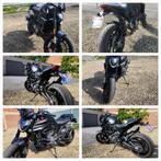 Stealth monster +, Naked bike, Particulier, 2 cilinders, 937 cc