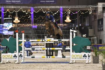 weekendgroom/hulp gezocht voor thuis en op jumping beschikbaar voor biedingen