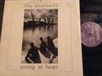 LP The Bluebells “Young at heart 12” ”, Ophalen of Verzenden, 1980 tot 2000, Gebruikt, 12 inch