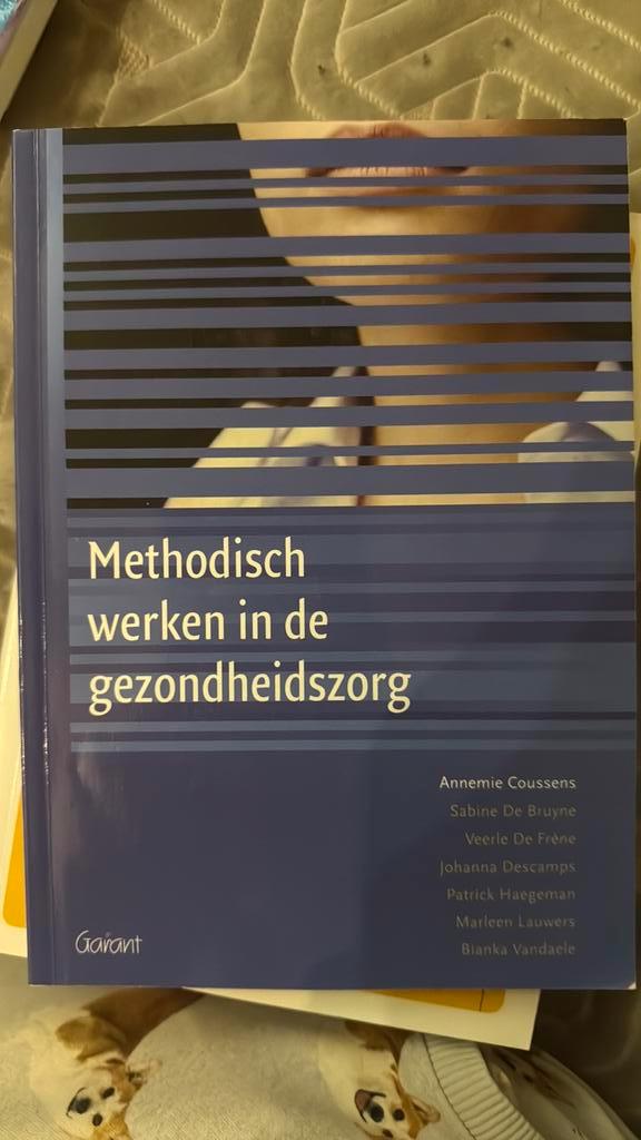 Veerle de Frène - Methodisch werken in de gezondheidszorg, Boeken, Wetenschap, Nieuw, Ophalen of Verzenden