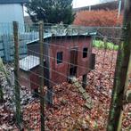 Kippenhok, Dieren en Toebehoren, Pluimvee