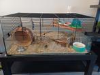 Hamsterkooi + toebehoren + hamster, Dieren en Toebehoren, Ophalen, Zo goed als nieuw, Hamster