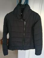 dames wintervest met dubbele rits, Kleding | Dames, Ophalen of Verzenden