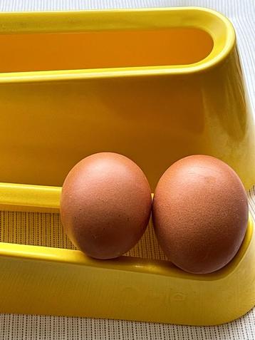 Rampe à oeufs Omlet, Enlèvement, Comme neuf