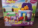 Duplo 10504, Kinderen en Baby's, Ophalen, Gebruikt, Complete set, Duplo