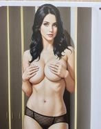 Lingerie Pin Up girl sexy metalen wandbord mancave kunst, Envoi, Neuf