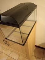 Aquarium +- 60 liter vissen, Enlèvement