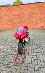 Yamaha R6 Rj15, Sportuitlaat, 4 cilinders, Sport, Particulier