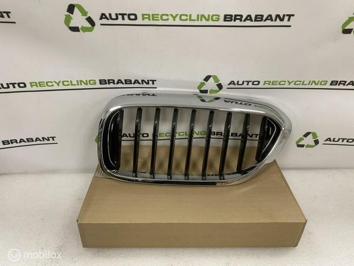 Grill Nier Links BMW 5 Serie G30 G31 M-PAKKET 51137390863, Auto-onderdelen, Carrosserie, BMW, Gebruikt, Ophalen of Verzenden