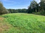 Weide van 1,67 hectare te koop in Turnhout, Dieren en Toebehoren, Stalling en Weidegang, Weidegang