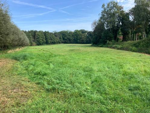 Weide van 1,67 hectare te koop in Turnhout, Dieren en Toebehoren, Stalling en Weidegang, Weidegang
