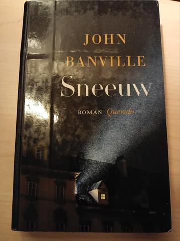 John Banville - Sneeuw disponible aux enchères