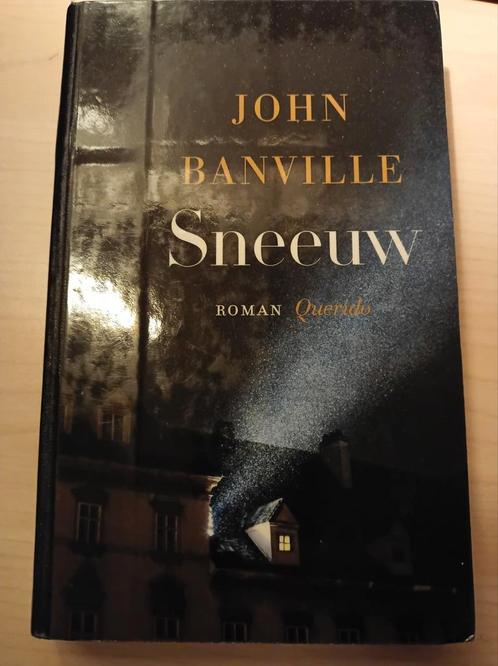 John Banville - Sneeuw, Livres, Littérature, Comme neuf, Pays-Bas, Enlèvement ou Envoi