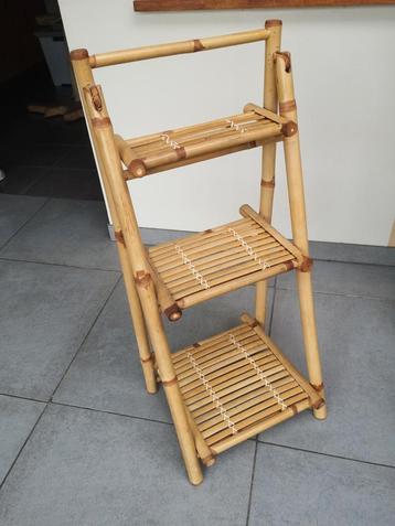 Bamboe plantenrekje beschikbaar voor biedingen