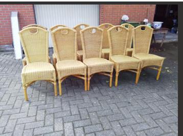 SET ROTAN STOELEN beschikbaar voor biedingen