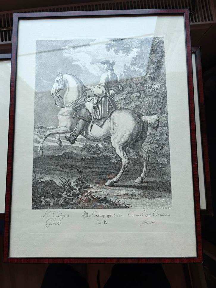 Le galop à gauche + palottade à droite Johann Elias Ridinger, Antiek en Kunst, Kunst | Tekeningen en Fotografie, Ophalen