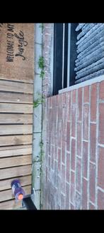 Zoek u tuinman ben u op goede adres, Tuin en Terras, Schuttingen, Ophalen of Verzenden, Zo goed als nieuw